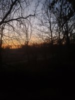 20231105_061825.jpg