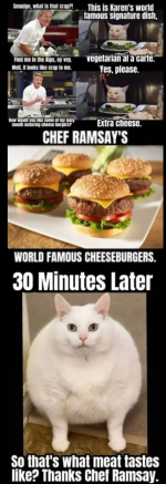 Screenshot_20231108-191213~3.png