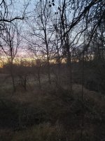 20231112_064604.jpg