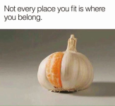 1700271809175.png