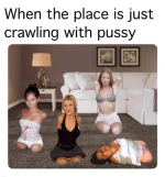 1700271833616.png
