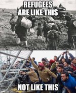 1700339959538.jpeg