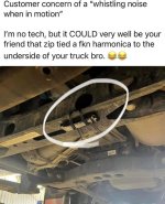 FB_IMG_1701633936634.jpg