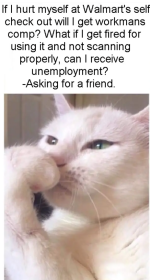 Screenshot_20231209-130216~2.png