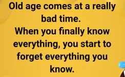 Screenshot_20231216-154330~2.png