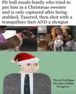 Screenshot_20231219-175355~2.png