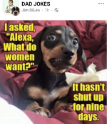 Screenshot_20231219-180814~2.png