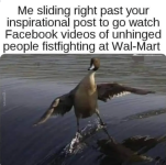Screenshot_20231219-180742~2.png