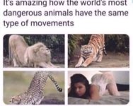 1703696563342.jpeg