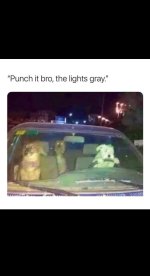 1704495816044.jpeg
