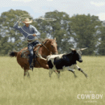 1704635318947.gif