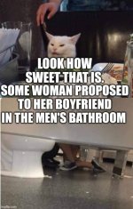 1705096777490.jpeg