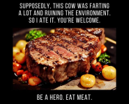 1706405164105.png