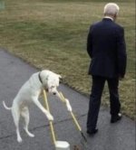 1706456874824.jpeg