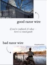 1706627296693.jpeg