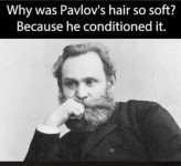 hair-why-was-pavlovs-hair-so-soft-because-he-conditioned-it.jpeg