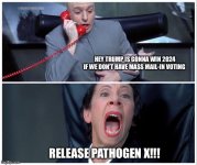 1706893322177.jpeg