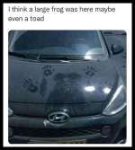 1707648721143.png