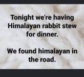 1707765545394.jpeg