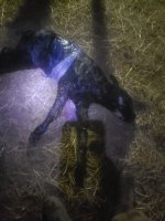 20240213_044831.jpg