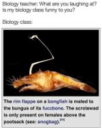 7E006171-E7AC-47F6-B8B8-EBEB9A08F62D.jpeg