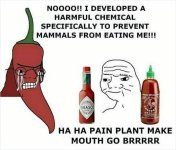 4AA953DE-3B9D-4D8A-8C3E-9BF35E4CE645.jpeg