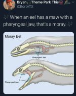 D8F58ABD-9C28-4909-9C27-B785B6FDB768.jpeg