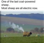 1709314962450.jpeg