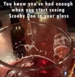 1709315357092.jpeg