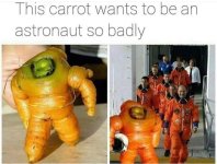 DBAE3C7D-AE21-457E-A44A-D32E54D2DD27.jpeg