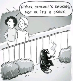 1710196456179.png