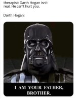 person-therapist-darth-hogan-isnt-real-he-cant-hurt-darth-hogan-am-father-brother.jpg