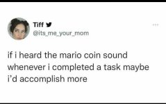 87288451.jpg
