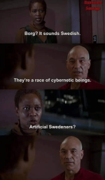 person-borg-sounds-swedish-bunnicorn-sangage-theyre-race-cybernetic-beings-artificial-swedeners.png