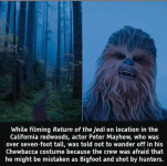 Screenshot_20240328-100127~2.png