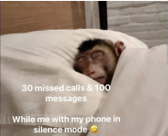 Screenshot_20240401-055744~2.png