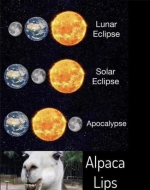 1712512881784.png