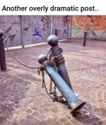 1712522255550.jpeg