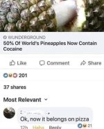 1712604958461.jpeg