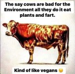 FB_IMG_1712894143201.jpg
