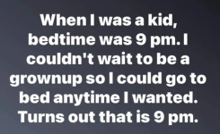 Screenshot_20240423-185249~2.png