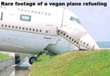 1714221965460.jpeg