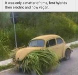 1714519890745.jpeg