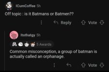 itsthatgy-5h-vote-5-awards-common-misconception-group-batman-is-actually-called-an-orphanage-v...jpg