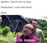 glasses-spiders-bite-hurt-my-prey-mosquitoes-suck-their-blood-bees-suicide-is-badass.jpg