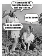 1716031816935.png