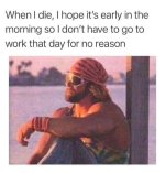 1716123613339.jpeg