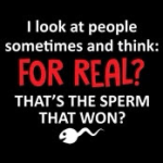 1717079482777.png