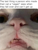 Screenshot_20240530-173424~2.png
