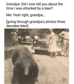 1717619766609.png